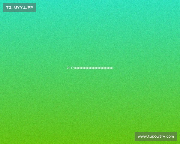 2017东川泥石流国际汽车越野赛激情开赛挑战险峻赛道勇闯天涯