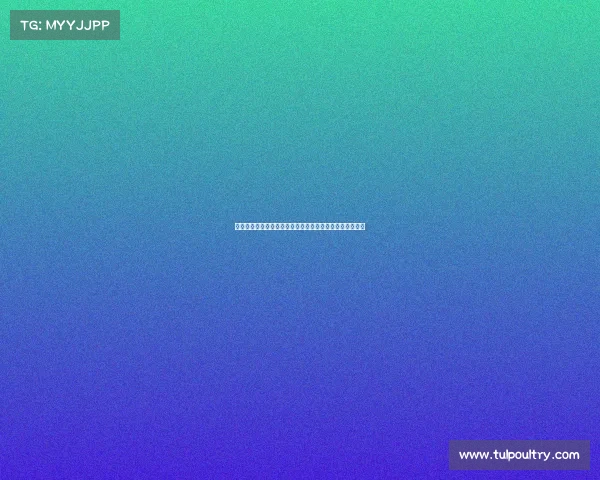 上海体育赛事观众热情助威点燃赛场激情共同见证运动魅力 上海体育赛事观众热情助威点燃赛场激情共同见证运动魅力