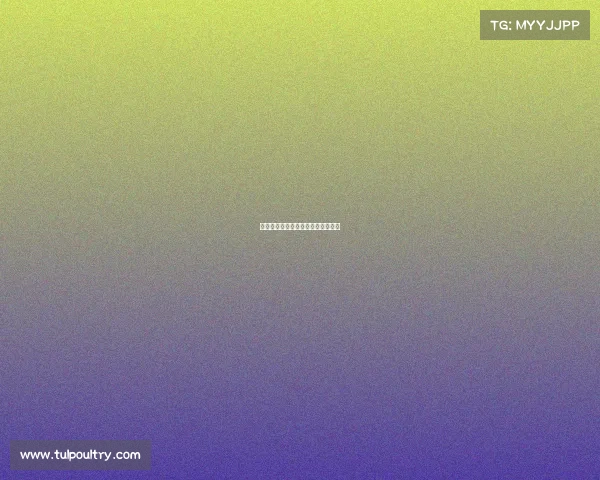 中国乒乓球队退赛风波引发体制反思 中国乒乓球队退赛风波引发体制反思