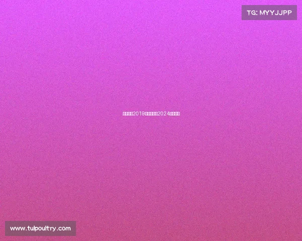 体育赛事2019—体育赛事2024年时间表 体育赛事2019—体育赛事2024年时间表