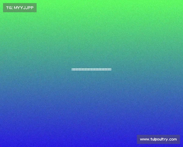 印度顶级体育赛事辉煌启幕全球精英齐聚共享荣耀激情时刻 印度顶级体育赛事辉煌启幕全球精英齐聚共享荣耀激情时刻