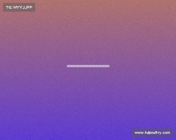 国家体育场赛事盛宴点燃竞技激情铸就荣耀梦想共享巅峰时刻辉煌