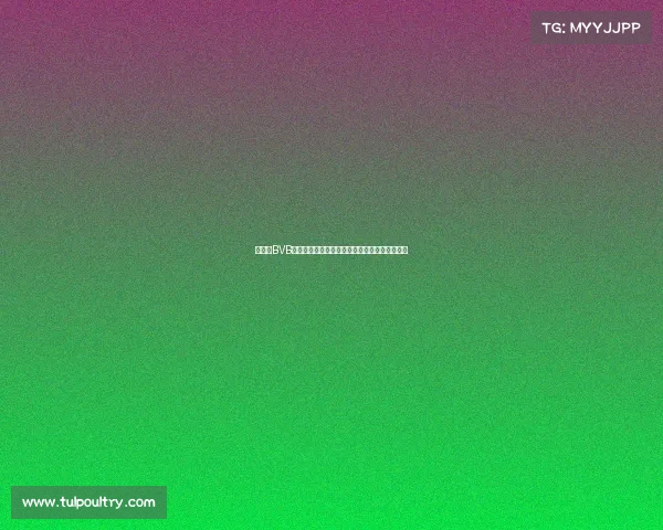 大黄蜂BVB多特蒙德激情赛事威斯特法伦球场热血沸腾时刻 大黄蜂BVB多特蒙德激情赛事威斯特法伦球场热血沸腾时刻