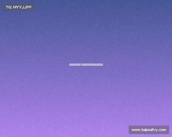 定向运动赛事计划 定向运动竞赛项目分为哪五大类型