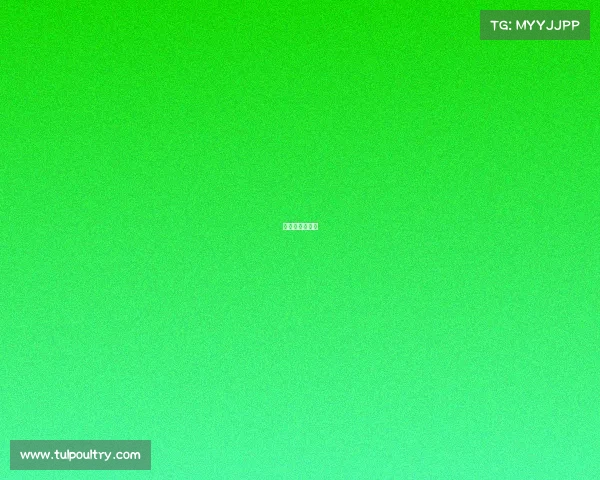 日本的足球联赛