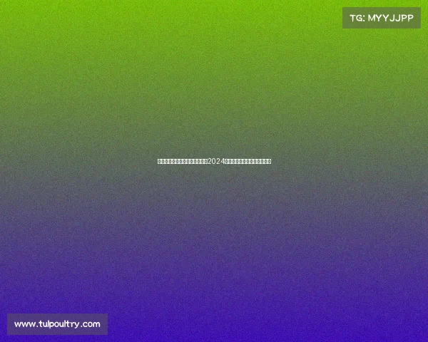 极限飞盘赛事极限飞盘巅峰之战2024全国锦标赛激情开启等你来战