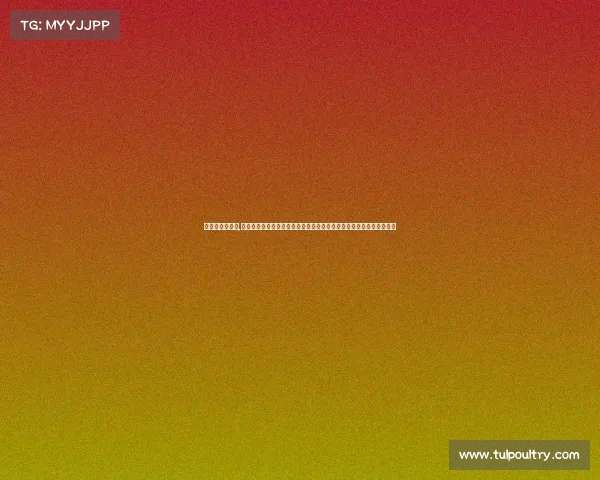 永昌队赛事安排,石家庄永昌队二零二四赛季赛事安排全景解析赛程重点比赛与球队动态