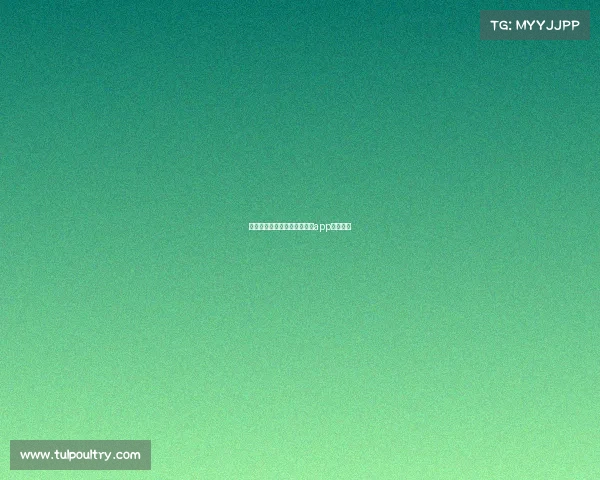 球叮足球今日赛事、球叮足球app安卓下载