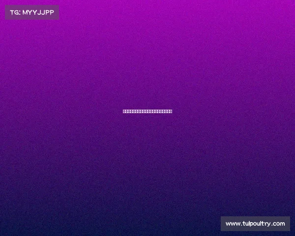 羊城赛事荟萃点燃运动激情共享活力广州盛宴