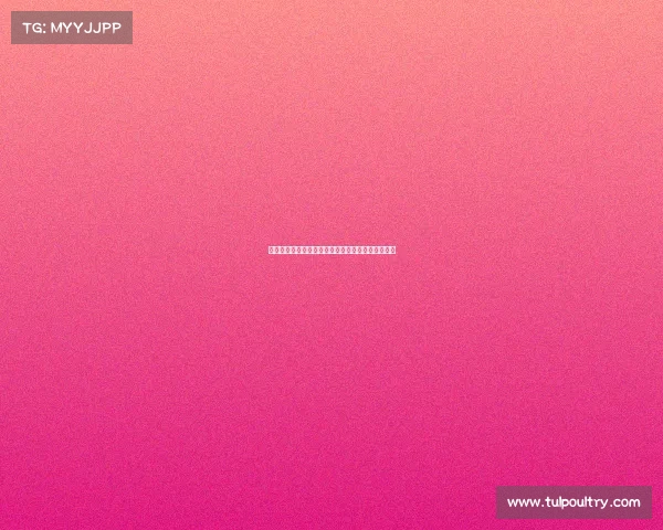 英超赛事统计全景深度剖析与赛季关键数据解析报告