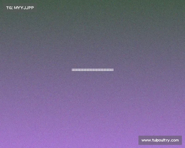 赛事分析表全方位研究探索比赛数据团队表现及优化策略报告 赛事分析表全方位研究探索比赛数据团队表现及优化策略报告