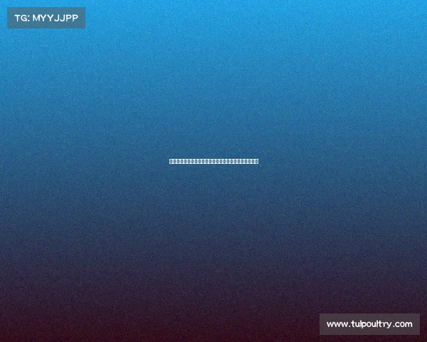 赛事裁判在病毒大流行中的挑战与健康保障策略深度探讨 赛事裁判在病毒大流行中的挑战与健康保障策略深度探讨